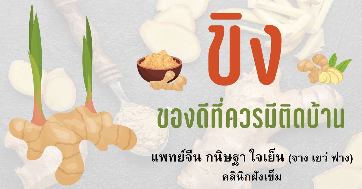ว่าด้วยเรื่องขิง  ว่าด้วยเรื่องขิง