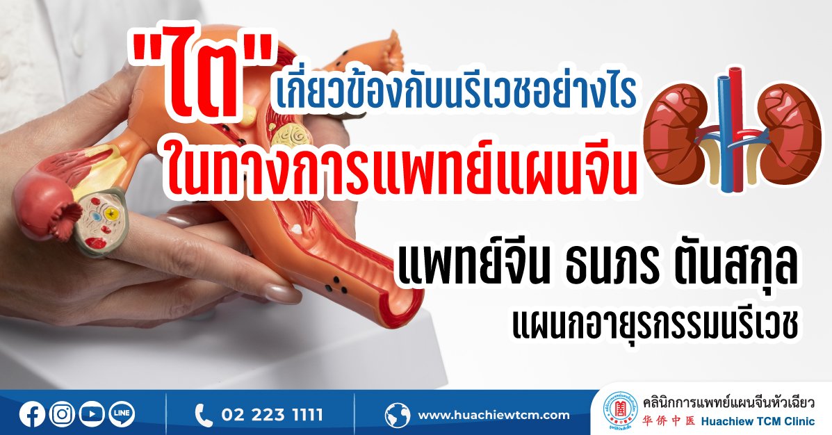 “ไต” เกี่ยวกับนรีเวชอย่างไร ในทางการแพทย์แผนจีน “ไต” เกี่ยวกับนรีเวชอย่างไร ในทางการแพทย์แผนจีน