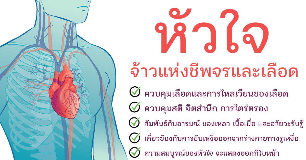 หัวใจ (心 ซิน) สัมพันธ์กับอารมณ์ ของเหลว เนื้อเยื่อ และอวัยวะรับรู้ หัวใจ (心 ซิน) สัมพันธ์กับอารมณ์ ของเหลว เนื้อเยื่อ และอวัยวะรับรู้