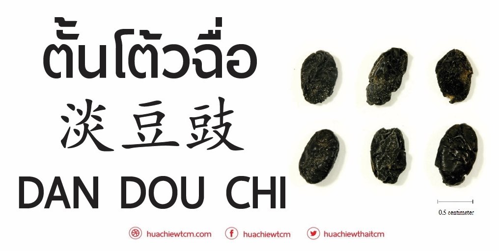 ตั้นโต้วฉื่อ 淡豆豉 -  ข้อมูลสมุนไพรจีน ตั้นโต้วฉื่อ 淡豆豉 -  ข้อมูลสมุนไพรจีน