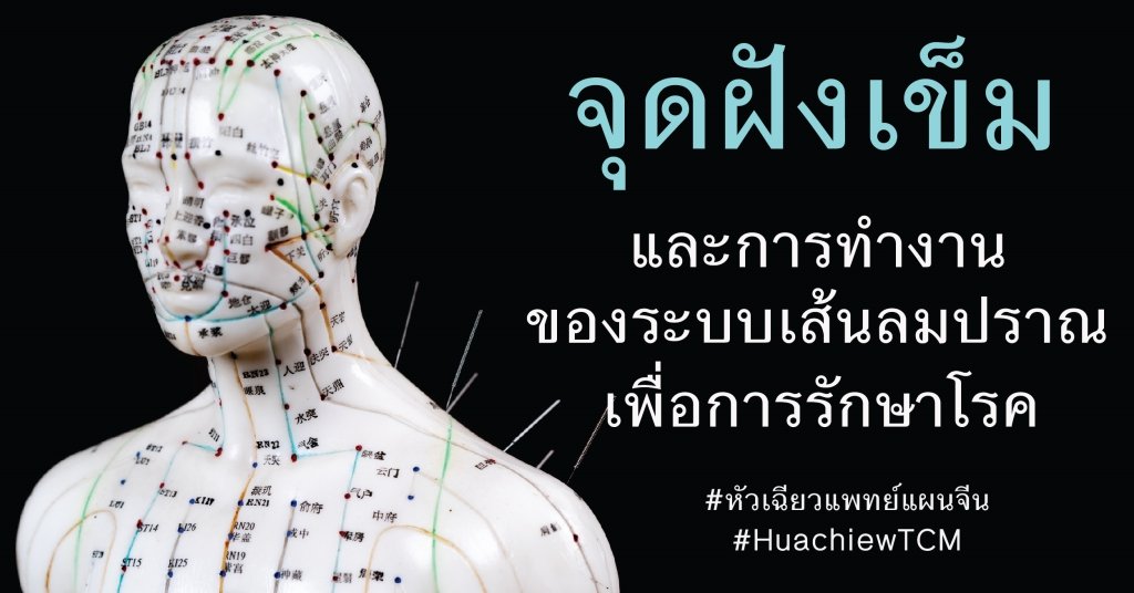 จุดฝังเข็มและการทำงานของระบบเส้นลมปราณเพื่อการรักษาโรค จุดฝังเข็มและการทำงานของระบบเส้นลมปราณเพื่อการรักษาโรค