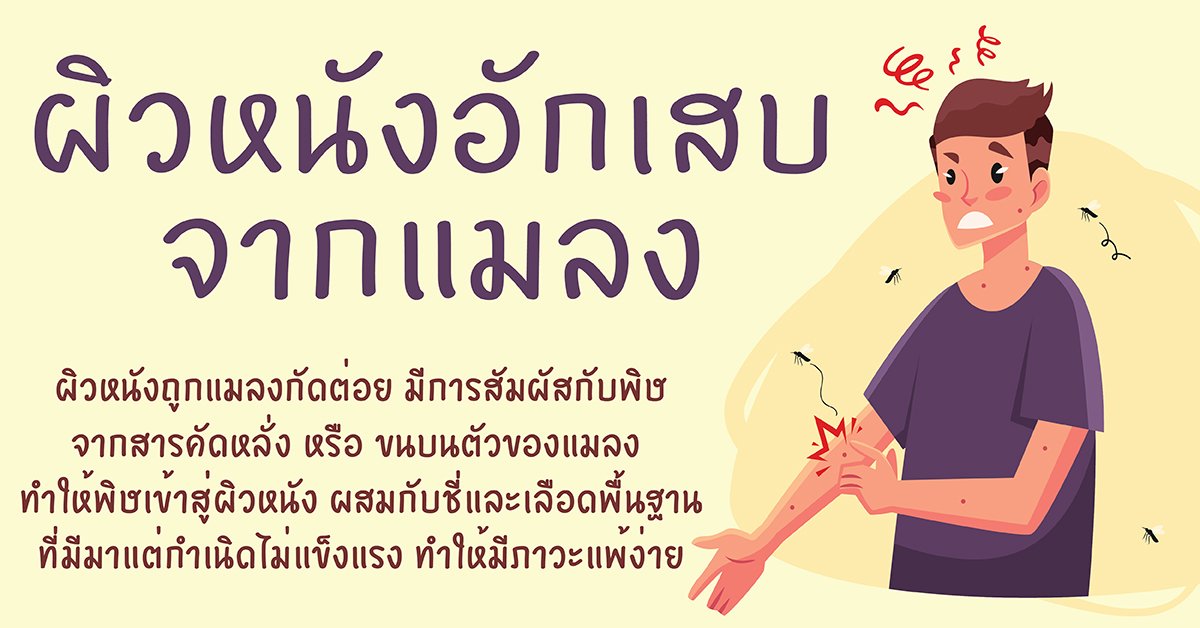 ผิวหนังอักเสบจากแมลง ผิวหนังอักเสบจากแมลง