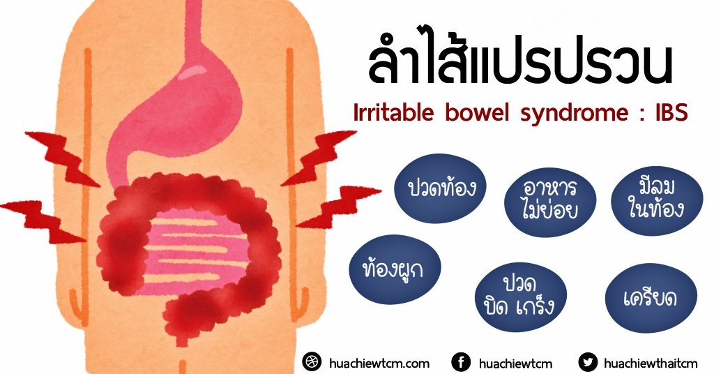 โรคลำไส้แปรปรวน Irritable bowel syndrome  IBS โรคลำไส้แปรปรวน Irritable bowel syndrome  IBS