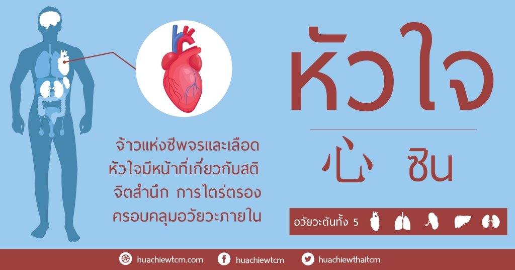 หัวใจเป็นจ้าวแห่งอวัยวะภายใน ชีพจรและเลือด หัวใจเป็นจ้าวแห่งอวัยวะภายใน ชีพจรและเลือด