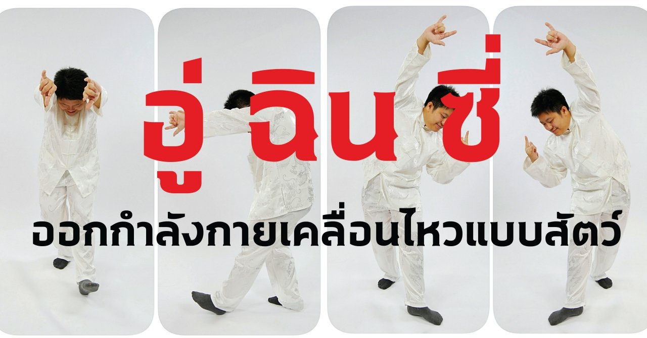 อู่ ฉิน ซี่ ออกกำลังกายเคลื่อนไหวแบบสัตว์ อู่ ฉิน ซี่ ออกกำลังกายเคลื่อนไหวแบบสัตว์