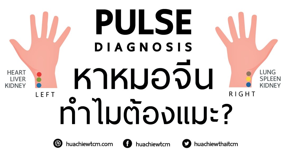 หมอแมะ หาหมอจีนทำไมต้องแมะ ? Pulse Diagnosis หมอแมะ หาหมอจีนทำไมต้องแมะ ? Pulse Diagnosis