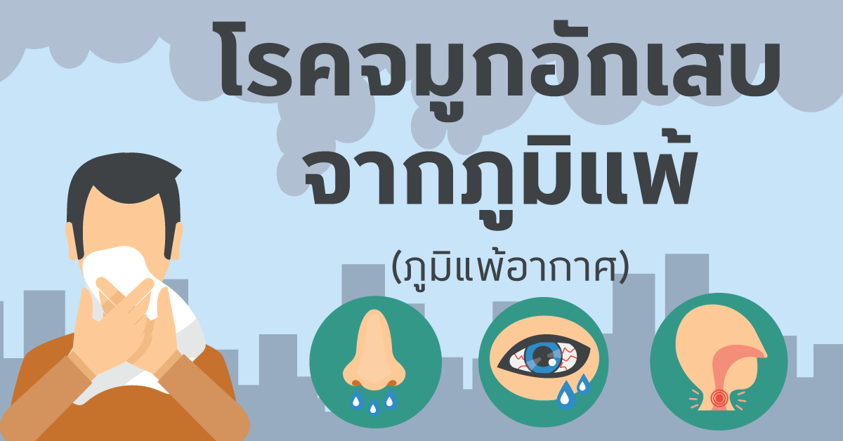 โรคจมูกอักเสบจากภูมิแพ้ (ภูมิแพ้อากาศ) โรคจมูกอักเสบจากภูมิแพ้ (ภูมิแพ้อากาศ)