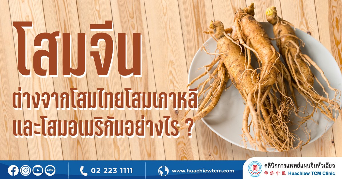 โสมจีน ต่างจากโสมไทย โสมเกาหลี และโสมอเมริกัน อย่างไร? โสมจีน ต่างจากโสมไทย โสมเกาหลี และโสมอเมริกัน อย่างไร?