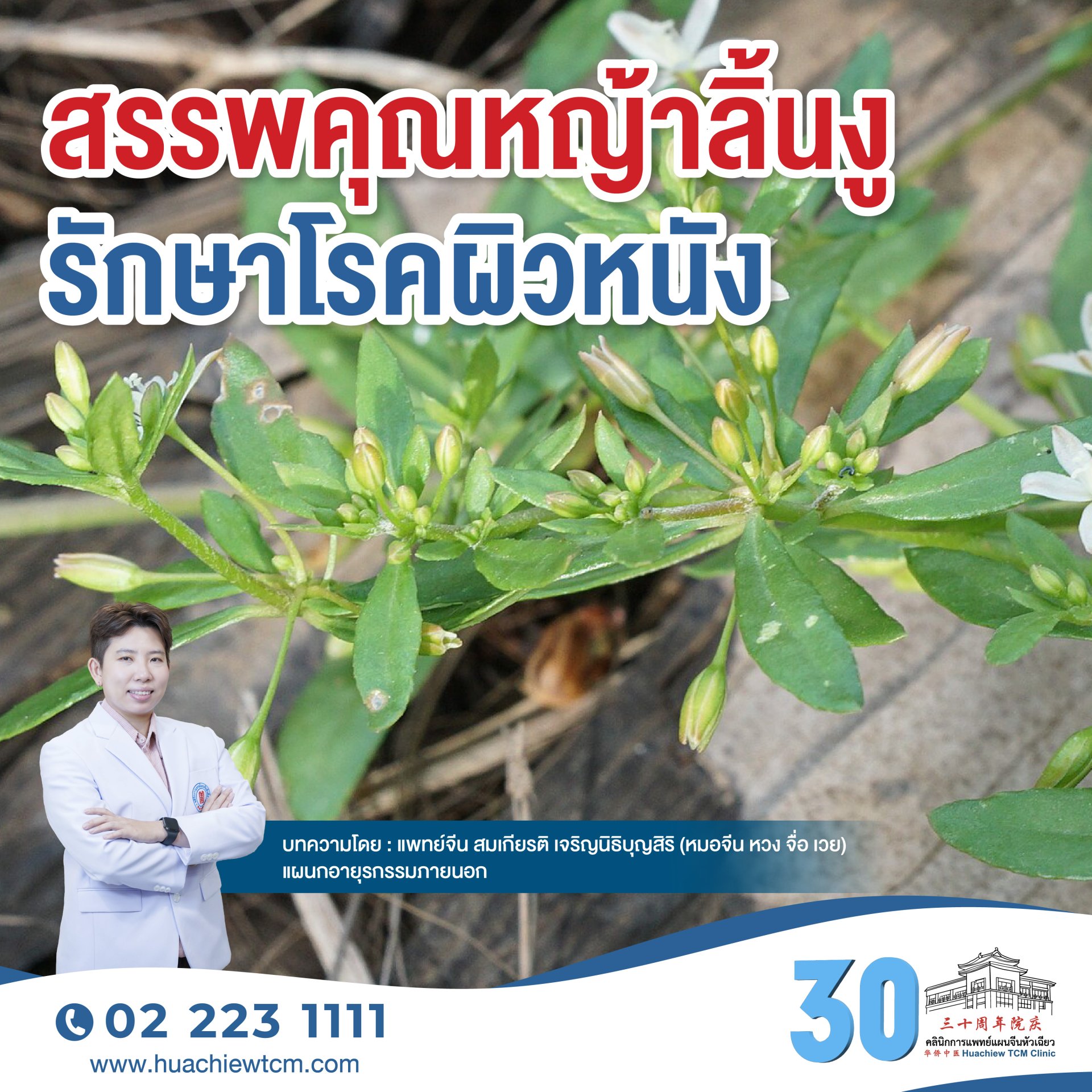 สรรพคุณหญ้าลิ้นงูรักษาโรคผิวหนัง