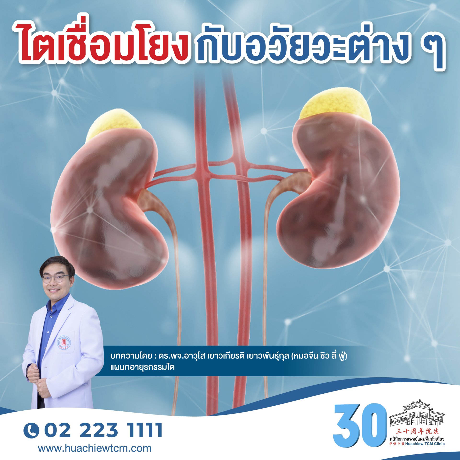 ไตเชื่อมโยงกับอวัยวะต่าง ๆ