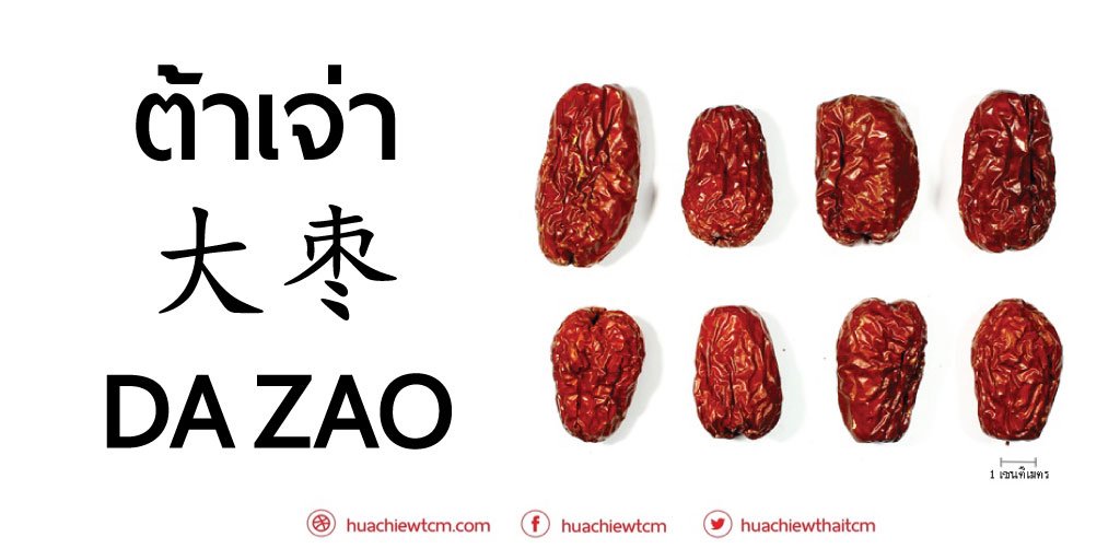 ต้าเจ่า 大枣 พุทราจีน : ข้อมูลสมุนไพรจีน ต้าเจ่า 大枣 พุทราจีน : ข้อมูลสมุนไพรจีน