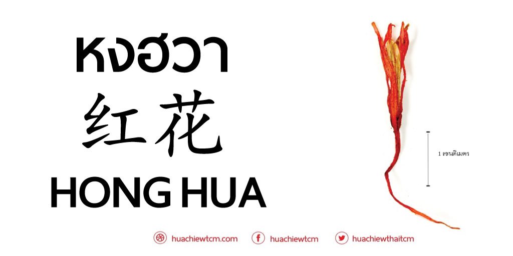 หงฮวา (红花) - ข้อมูลสมุนไพรจีน หงฮวา (红花) - ข้อมูลสมุนไพรจีน