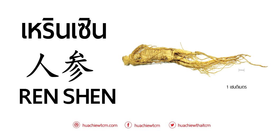 เหรินเซิน 人参 : ข้อมูลสมุนไพรจีน เหรินเซิน 人参 : ข้อมูลสมุนไพรจีน