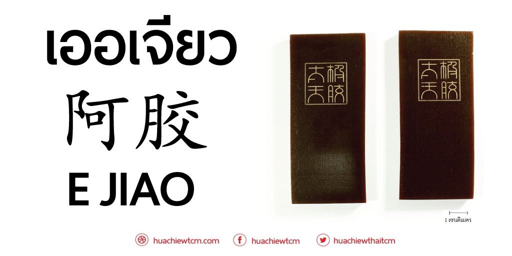 เออเจียว (阿胶) - ข้อมูลสมุนไพรจีน เออเจียว (阿胶) - ข้อมูลสมุนไพรจีน