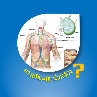 ระบบน้ำเหลือง