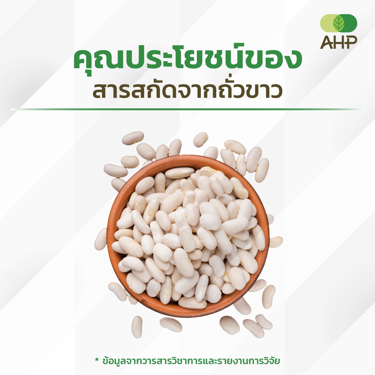 คุณประโยชน์ของสารสกัดจากถั่วขาว คุณประโยชน์ของสารสกัดจากถั่วขาว