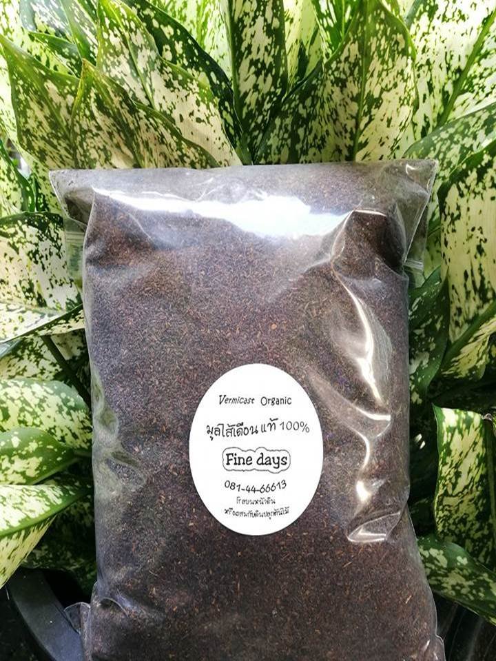 วิธีทำน้ำหมักมูลไส้เดือน วิธีทำน้ำหมักมูลไส้เดือน