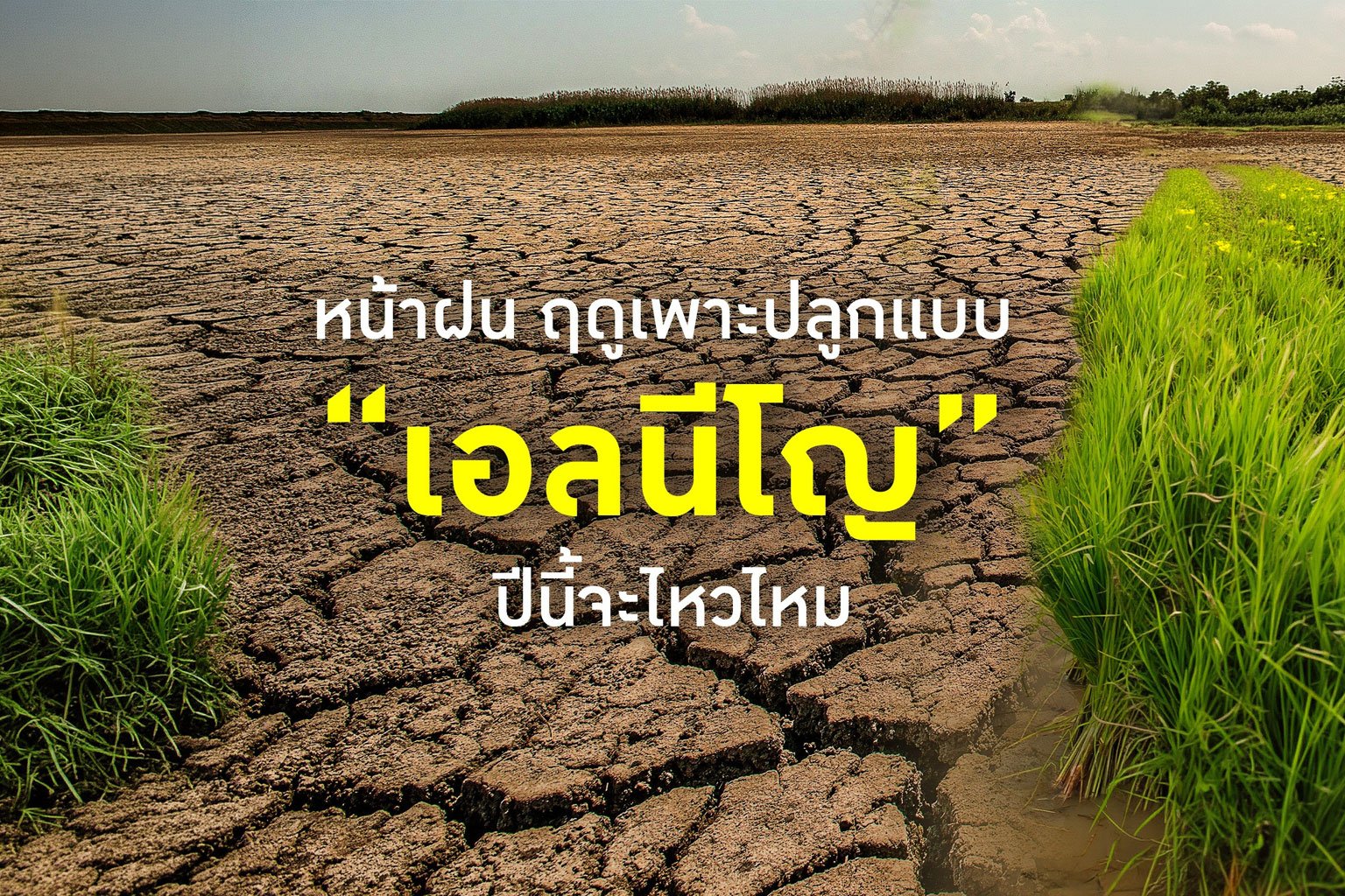 เอลนีโญ คืออะไร เกษตรกรชาวไทยจะรับมือกับฤดูเพาะปลูกเช่นนี้ได้หรือไม่ 