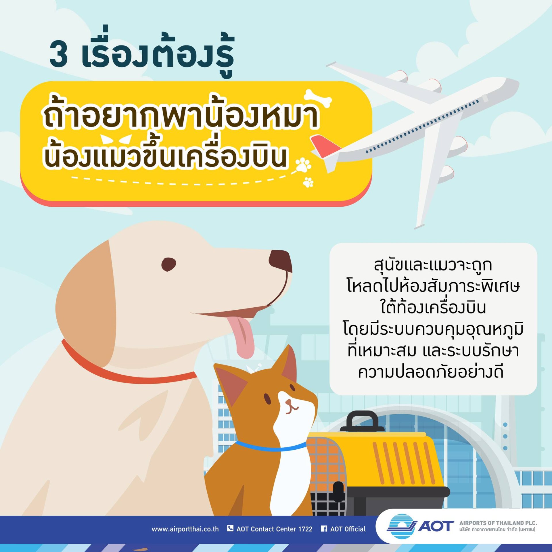 3 เรื่องต้องรู้ ถ้าอยากพาน้องหมา น้องแมวขึ้นเครื่องบิน Cr.airportthai