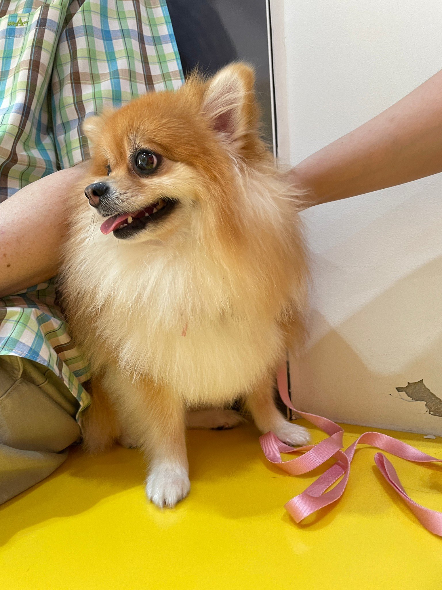 น้องมีมี่ เข้ามาปรึกษาปัญหาเรื่องอาการอาเจียนเรื้อรัง  น้องมีมี่ เข้ามาปรึกษาปัญหาเรื่องอาการอาเจียนเรื้อรัง