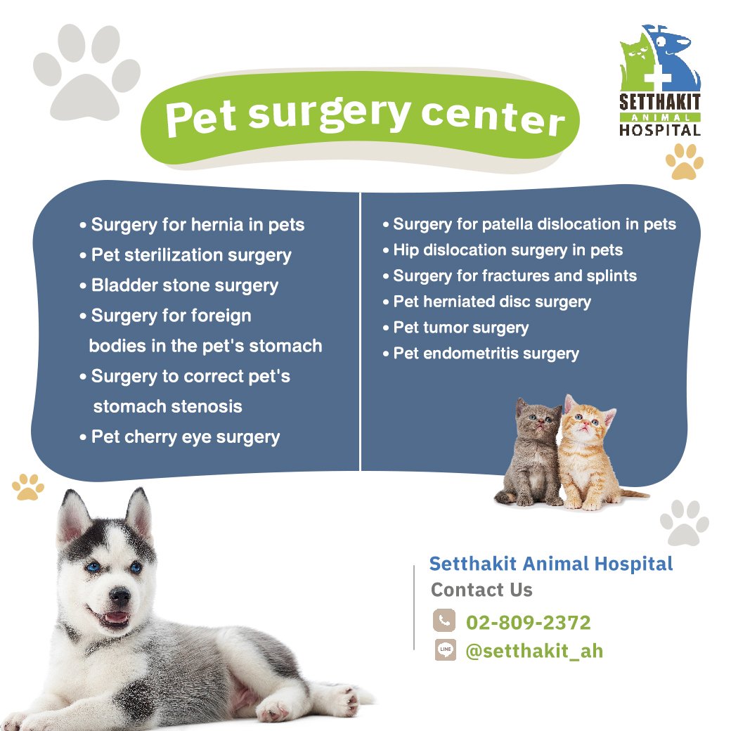pet, dog, cat pet, dog, cat