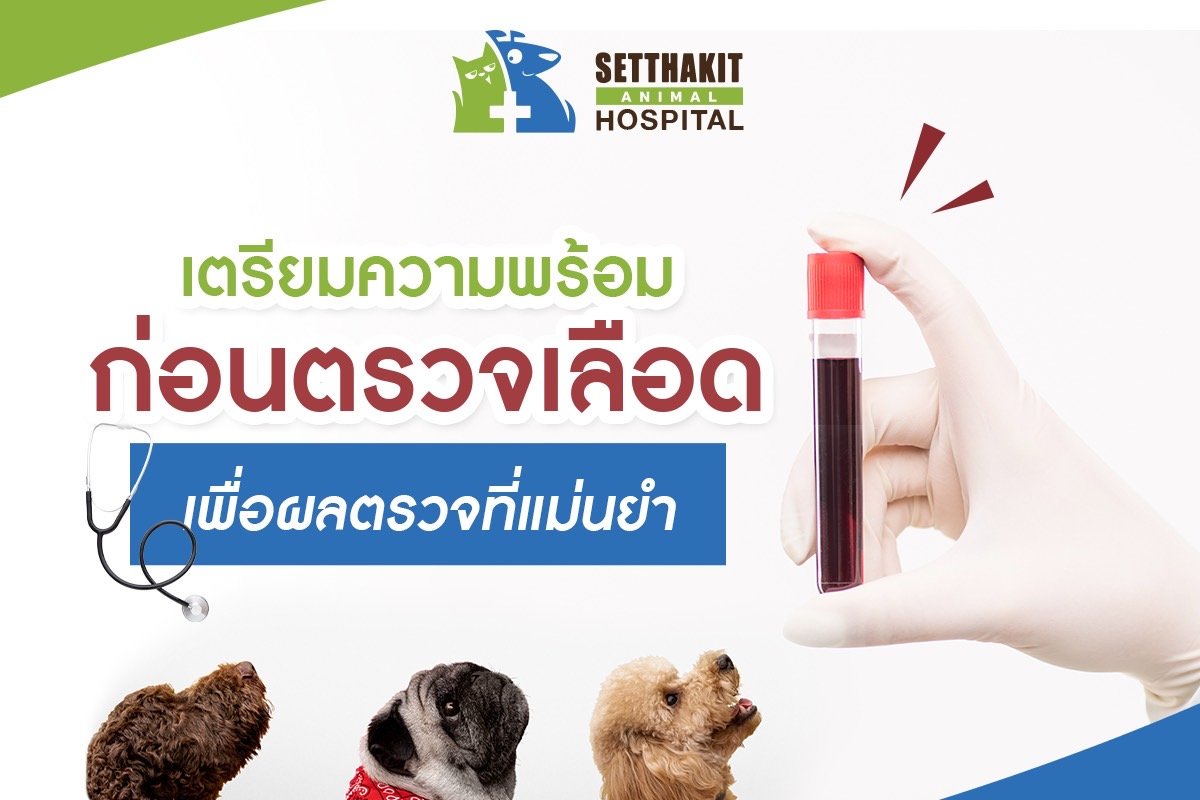 เตรียมความพร้อมก่อนตรวจเลือด เพื่อผลตรวจที่แม่นยำ
