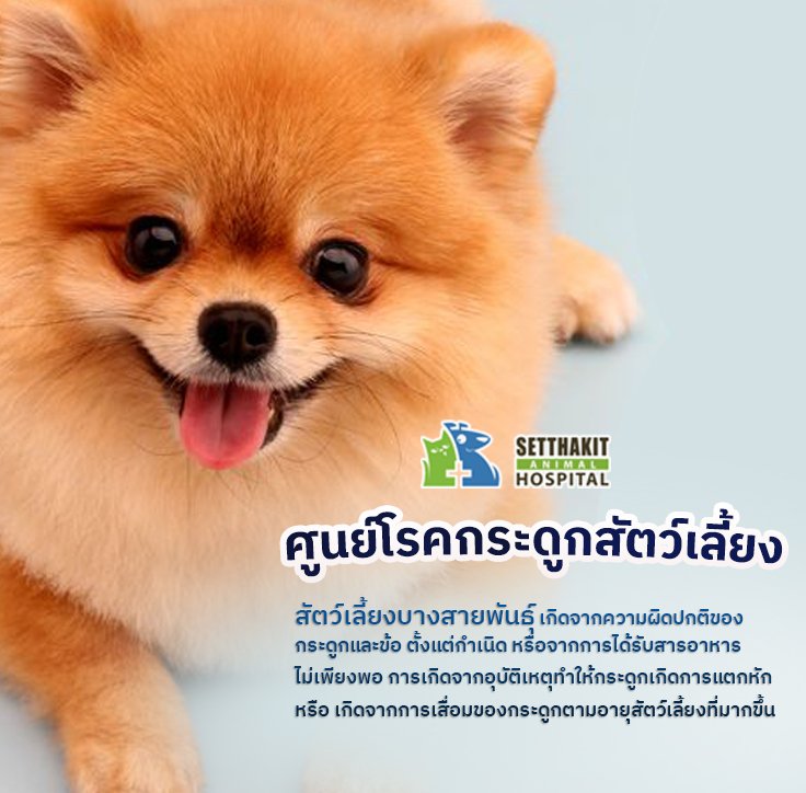 หมากระดูกหัก หมากระดูกหัก