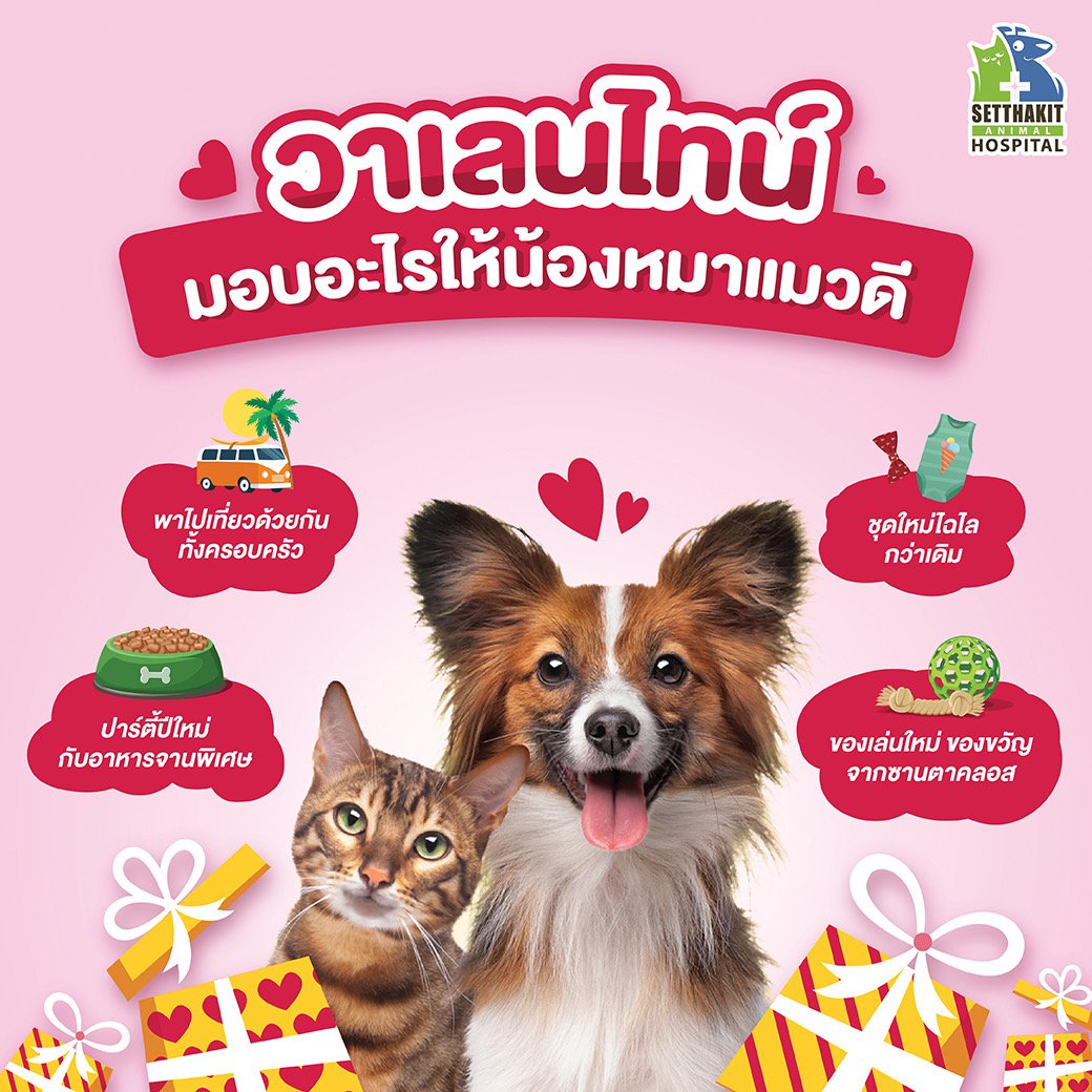 วาเลนไทน์ วาเลนไทน์