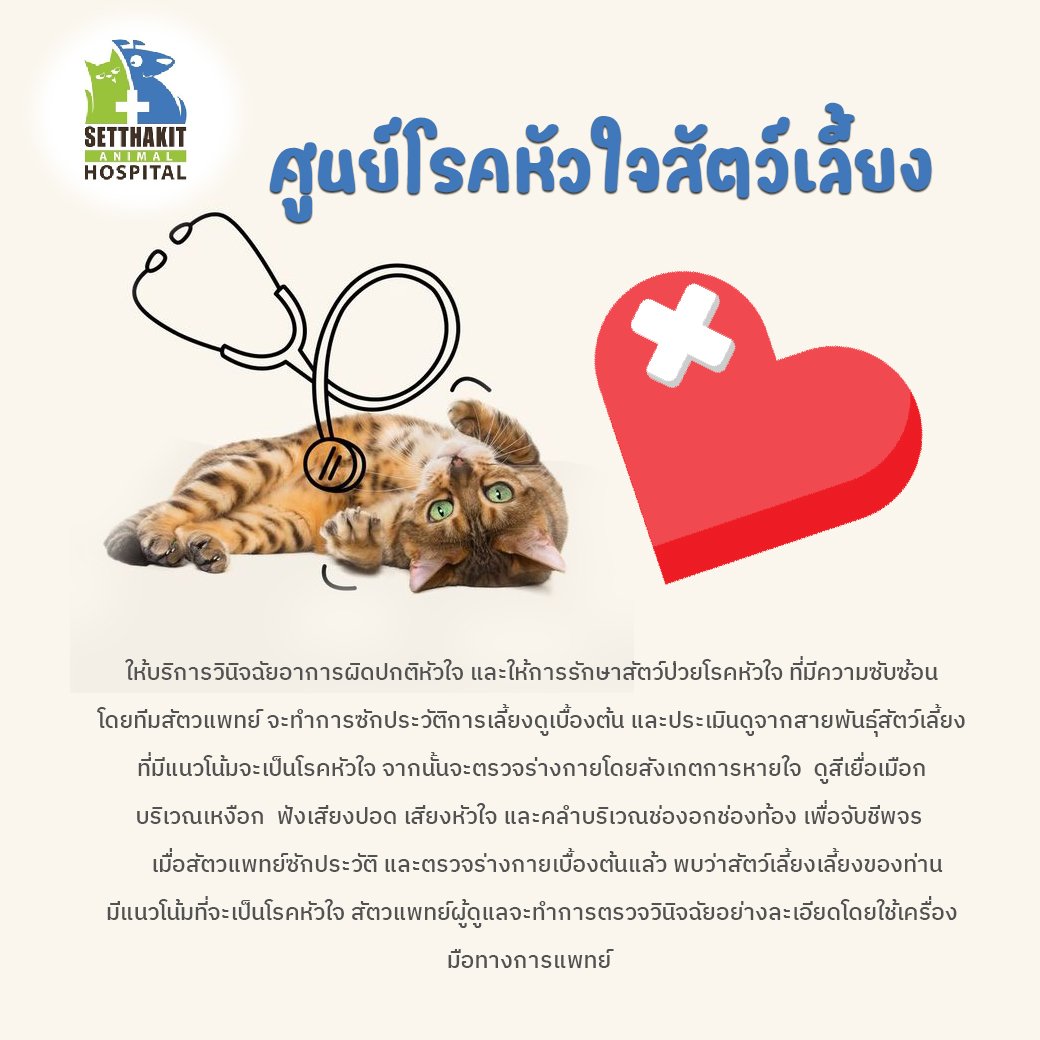 ศูนย์โรคหัวใจสัตว์เลี้ยง ศูนย์โรคหัวใจสัตว์เลี้ยง
