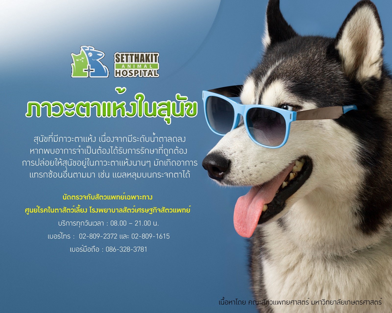 ภาวะตาแห้งในสุนัข - ศูนย์โรคในตาสัตว์เลี้ยง โรงพยาบาลสัตว์เศรษฐกิจสัตวแพทย์  ภาวะตาแห้งในสุนัข - ศูนย์โรคในตาสัตว์เลี้ยง โรงพยาบาลสัตว์เศรษฐกิจสัตวแพทย์