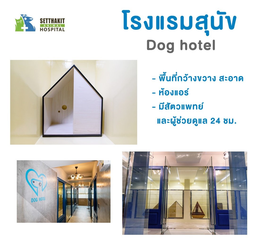 โรงแรมสุนัข  ( Dog hotel) - โรงพยาบาลสัตว์เศรษฐกิจสัตวแพทย์ 