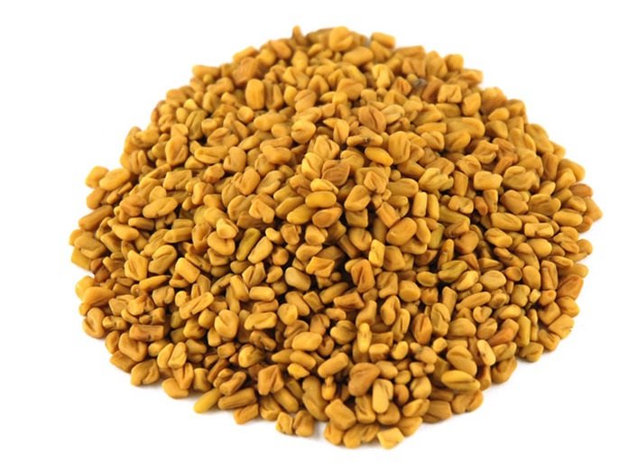 ฟินูกรีก ( Fenugreek )  ฟินูกรีก ( Fenugreek )