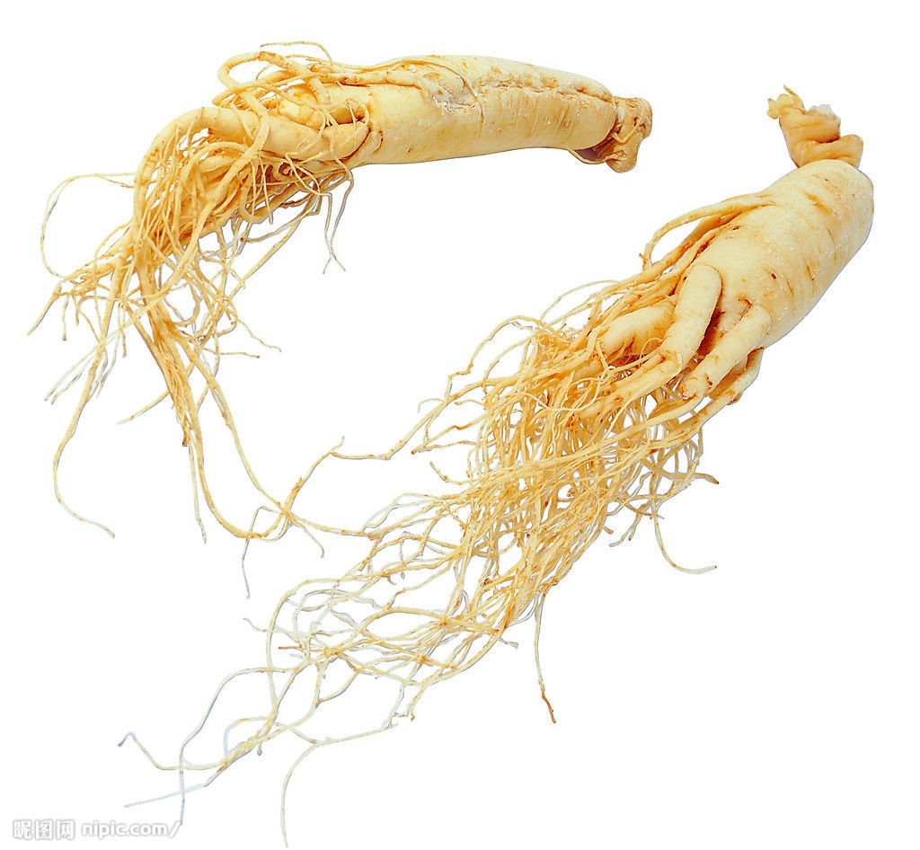 โสมเกาหลี (Korean Ginseng) โสมเกาหลี (Korean Ginseng)