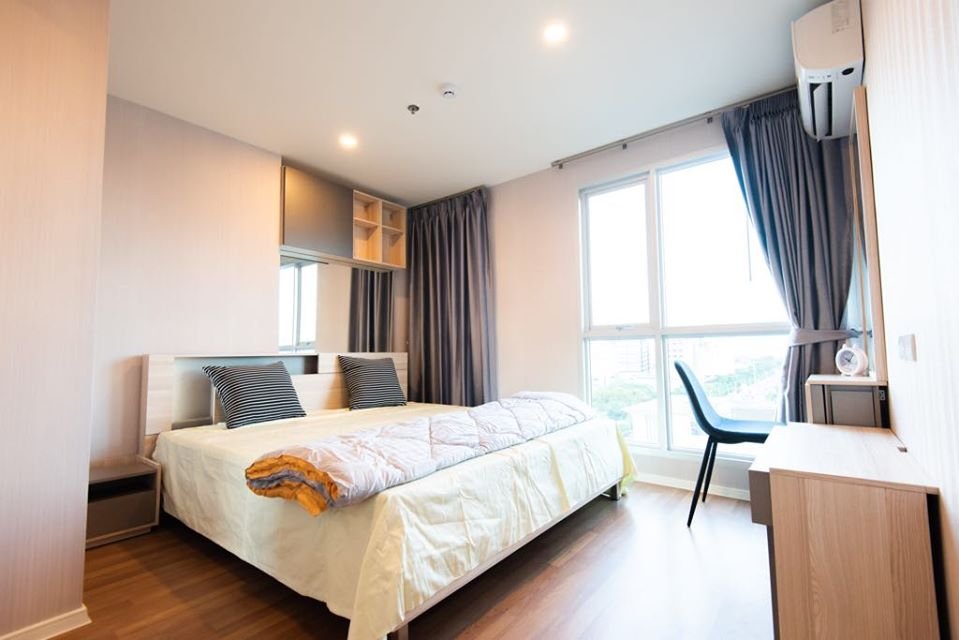 The Selected Kaset - Ngamwongwan by L.P.N. (เดอะ ซีเล็คเต็ด เกษตร-งามวงศ์วาน บาย แอล.พี.เอ็น.) ID - 202786