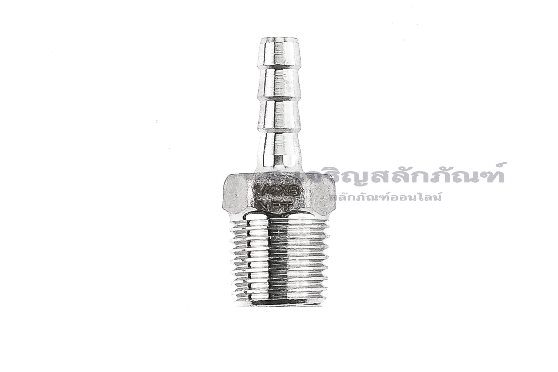 ข้อต่อหางไหลสแตนเลส เกลียวนอกเสียบสาย (เกลียวนอก x หางไหล) ขนาด 1/4"-18 NPT x 6 mm