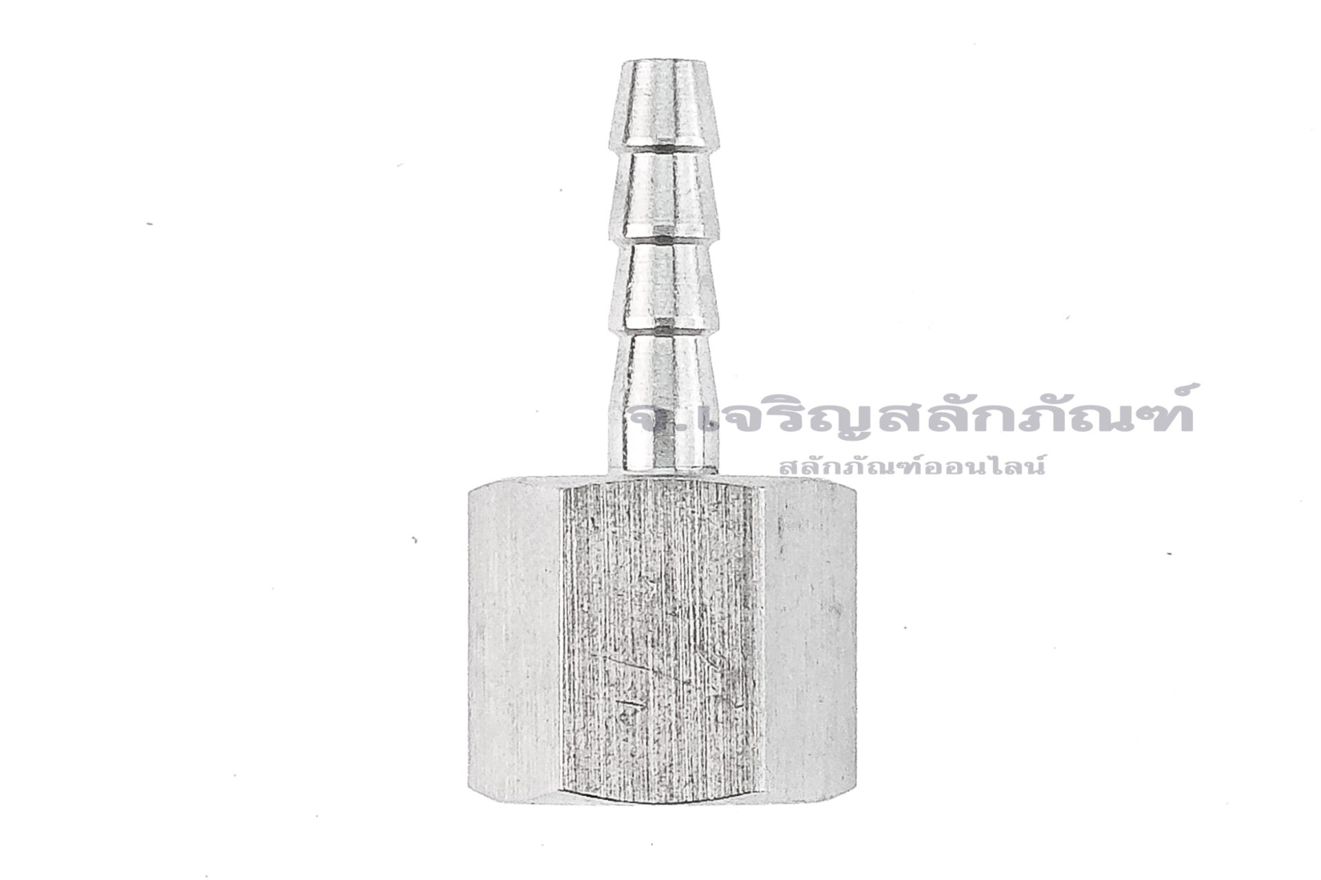 ข้อต่อหางไหลสแตนเลส เกลียวในเสียบสาย (เกลียวใน x หางไหล) ขนาด 3/8"-18 NPT x 6 mm