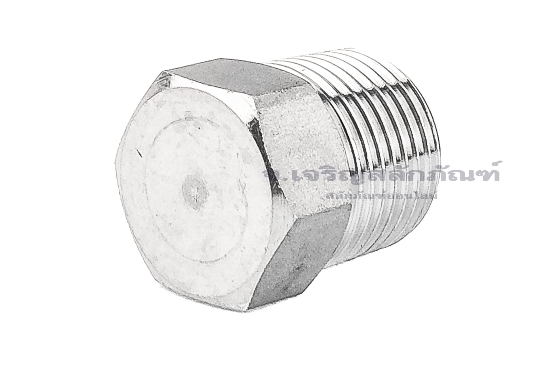 ปลั๊กอุดเกลียวนอกสแตนเลส หัวหกเหลี่ยม รุ่นงานอย่างดี ขนาด 3/8" เกลียว 18 (NPT)