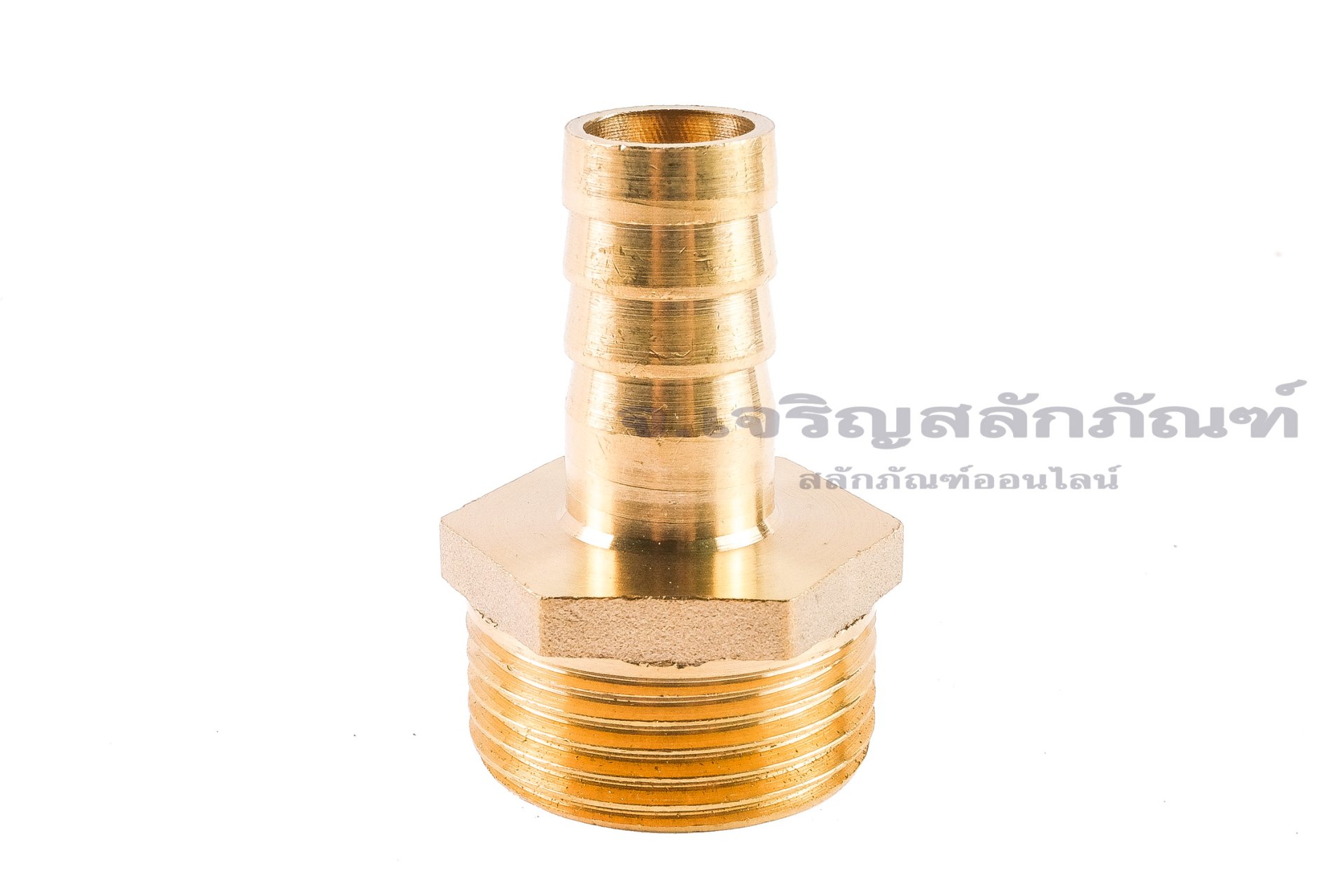 ข้อต่อหางไหลทองเหลือง เกลียวนอกเสียบสาย (เกลียวนอก x หางไหล) ขนาด 1" (BSPF) x 16 mm