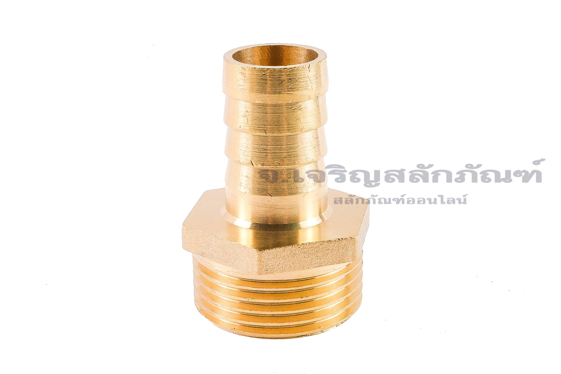 ข้อต่อหางไหลทองเหลือง เกลียวนอกเสียบสาย (เกลียวนอก x หางไหล) ขนาด 1" (BSPF) x 19mm