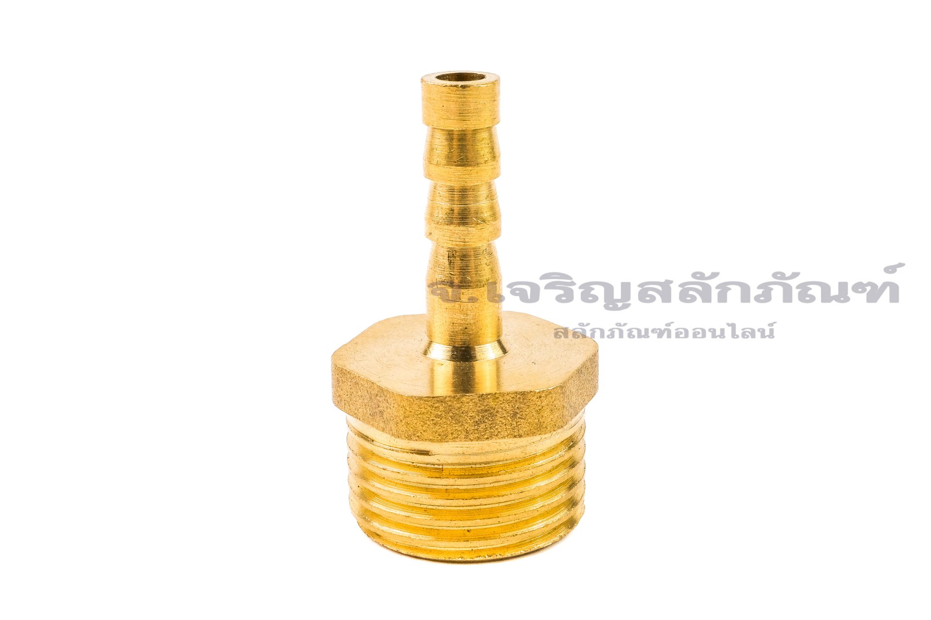 ข้อต่อหางไหลทองเหลือง เกลียวนอกเสียบสาย (เกลียวนอก x หางไหล) ขนาด 1/2" x 6 mm