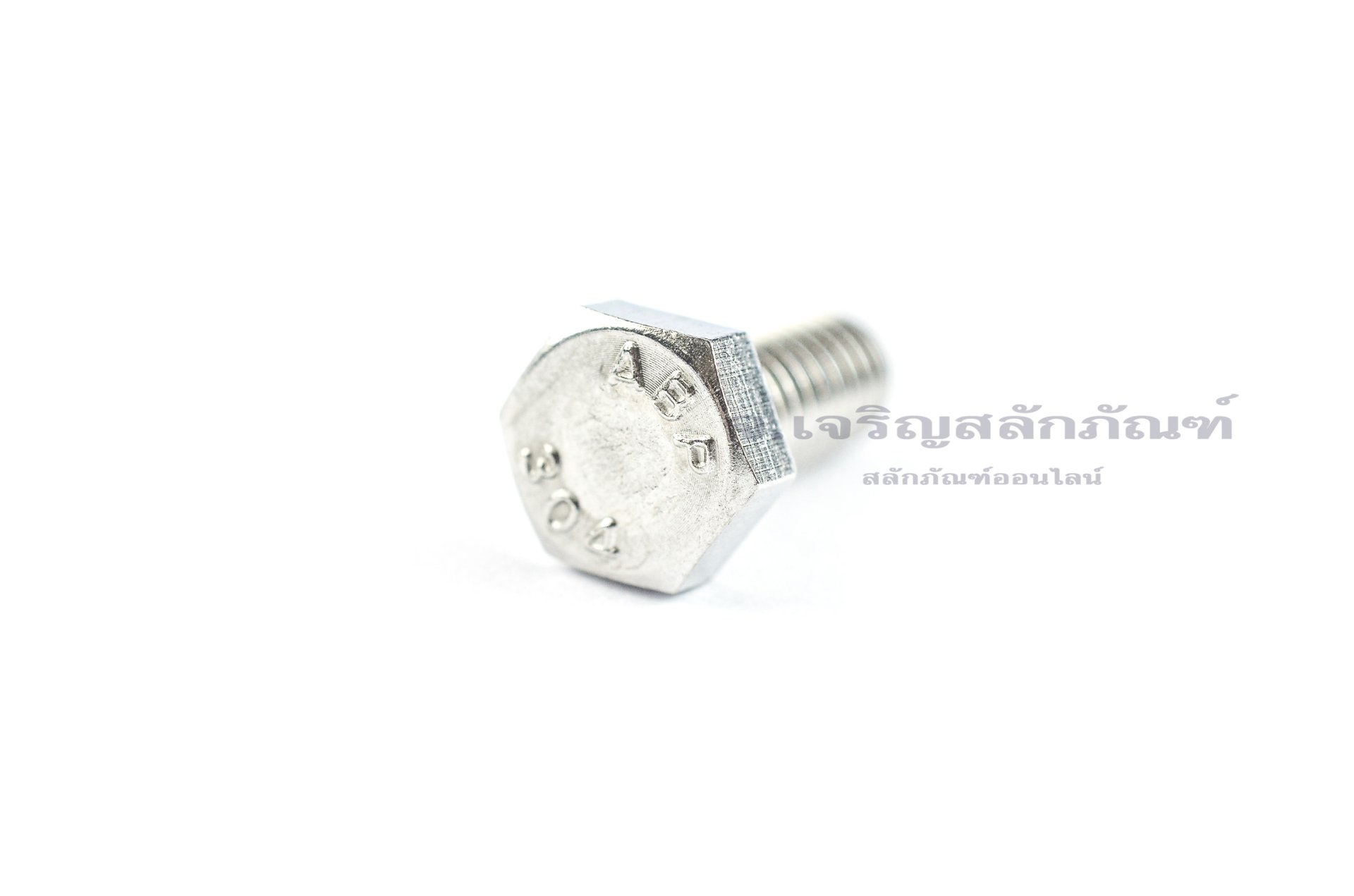 น็อตหัวเหลี่ยมสแตนเลส Stainless Steel Hex Bolt 1/4"x5/8" 