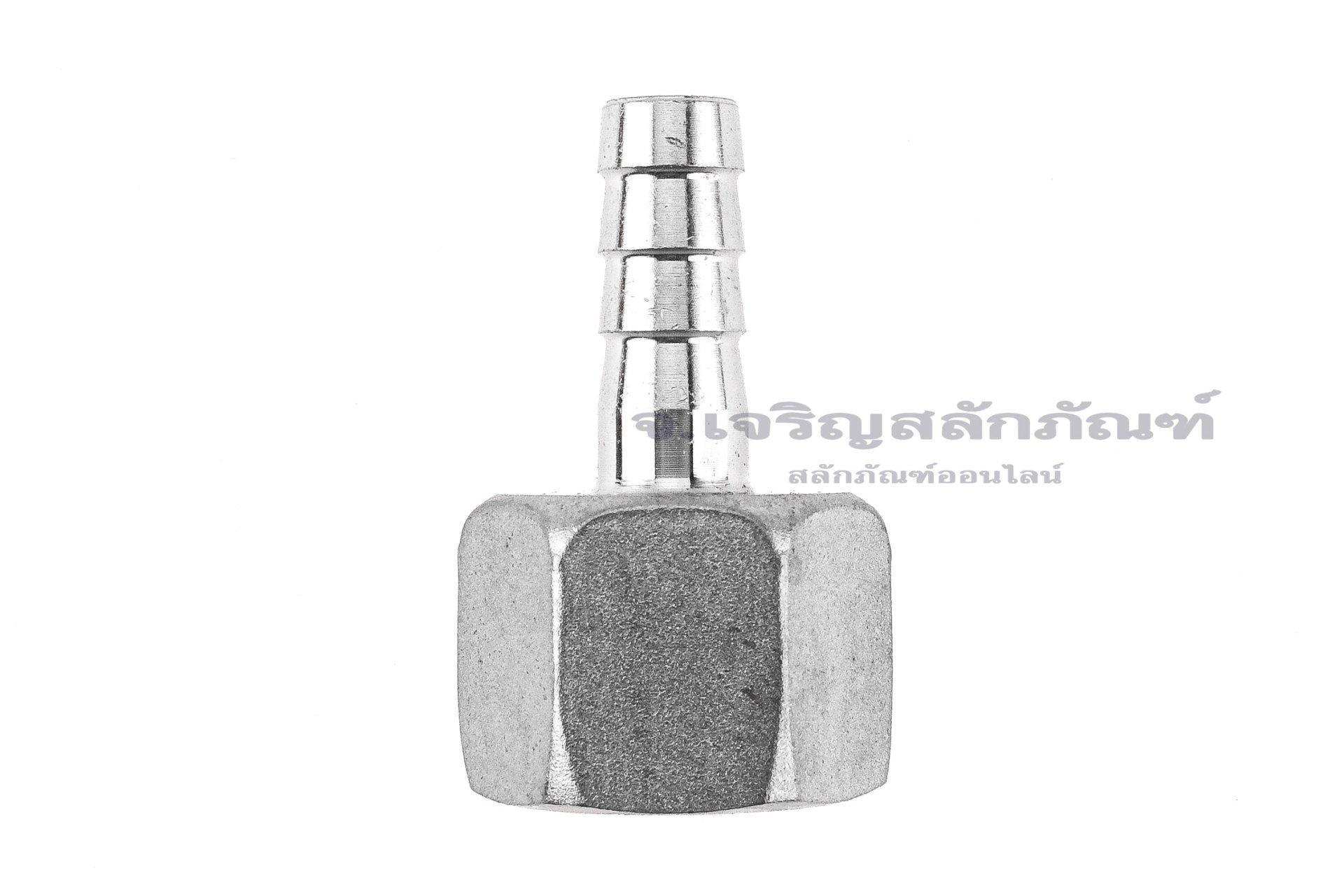 ข้อต่อหางไหลสแตนเลส เกลียวในเสียบสาย (เกลียวใน x หางไหล) ขนาด 1/2" x 10 mm