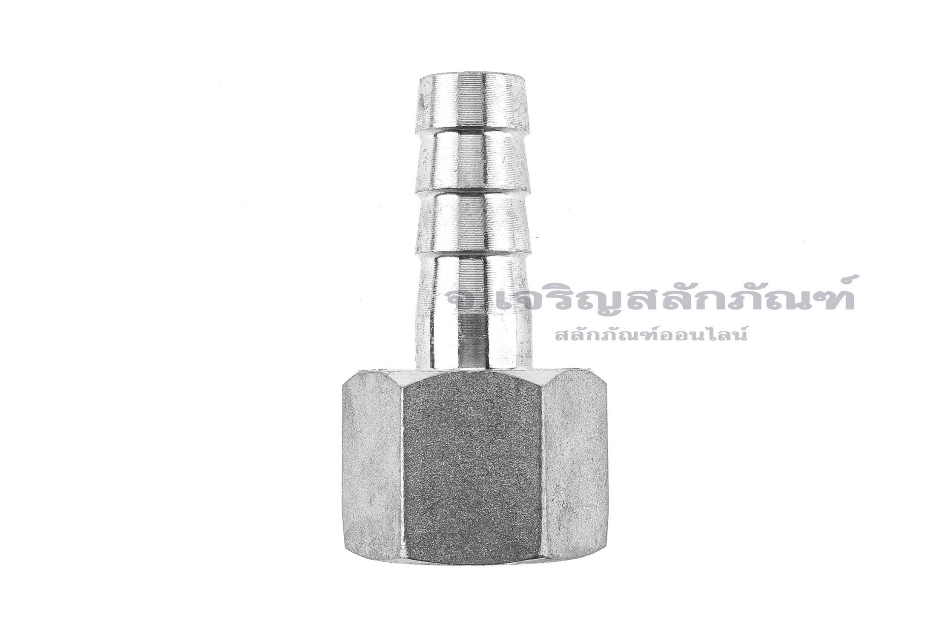 ข้อต่อหางไหลสแตนเลส เกลียวในเสียบสาย (เกลียวใน x หางไหล) ขนาด 1/2" x 13 mm