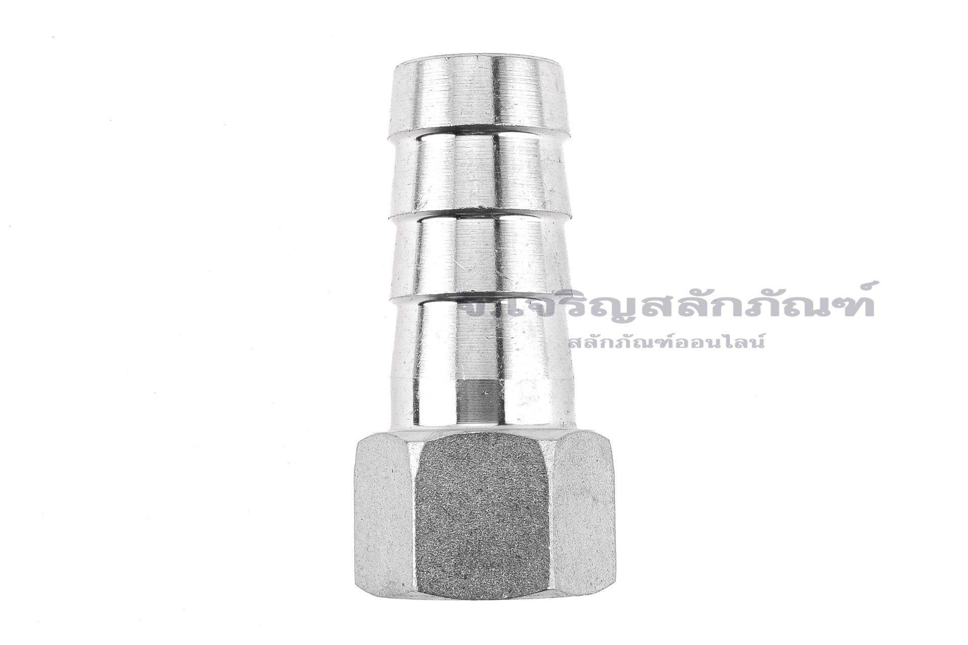 ข้อต่อหางไหลสแตนเลส เกลียวในเสียบสาย (เกลียวใน x หางไหล) ขนาด 1/2" x 20 mm