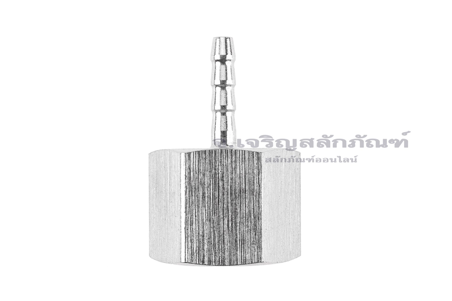 ข้อต่อหางไหลสแตนเลส เกลียวในเสียบสาย (เกลียวใน x หางไหล) ขนาด 1/2" x 4 mm