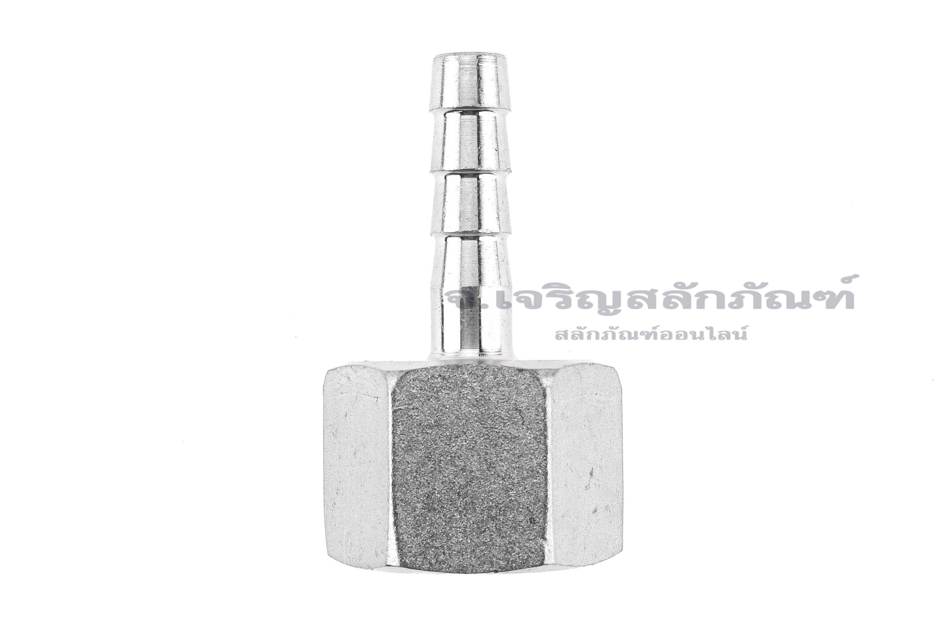 ข้อต่อหางไหลสแตนเลส เกลียวในเสียบสาย (เกลียวใน x หางไหล) ขนาด 1/2" x 8 mm