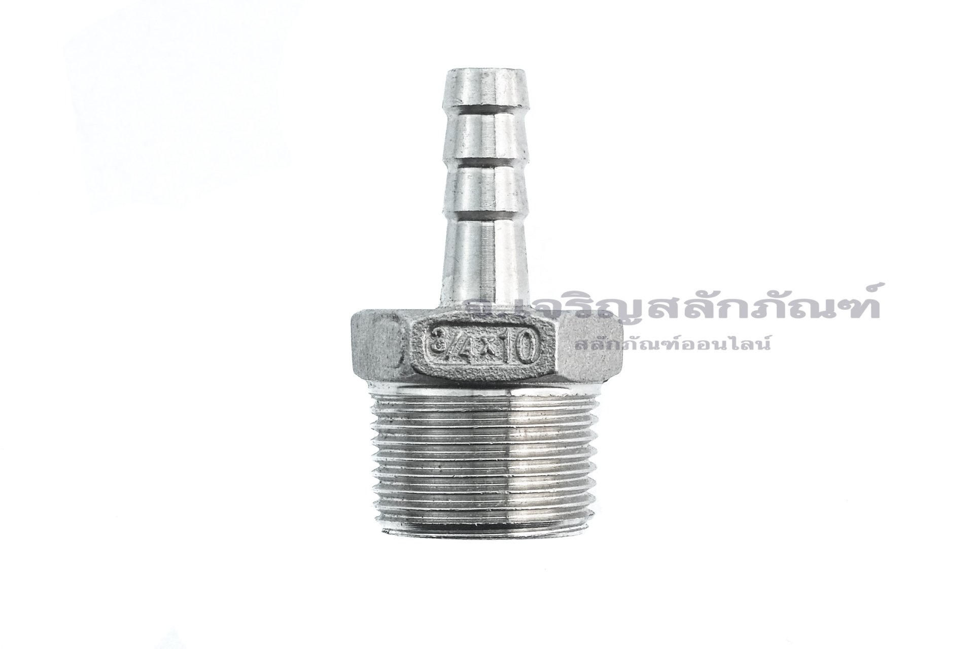 ข้อต่อหางไหลสแตนเลส เกลียวนอกเสียบสาย (เกลียวนอก x หางไหล) ขนาด 3/4" x ...