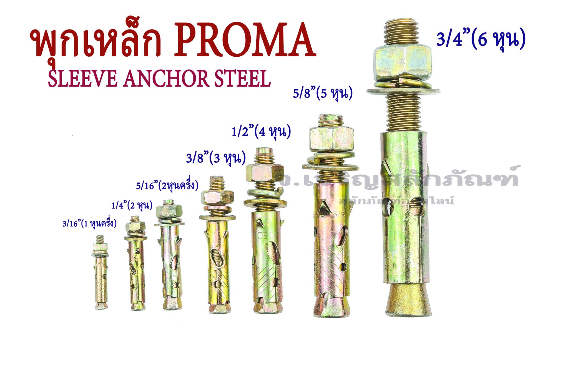 พุกเหล็ก PROMA 3/8