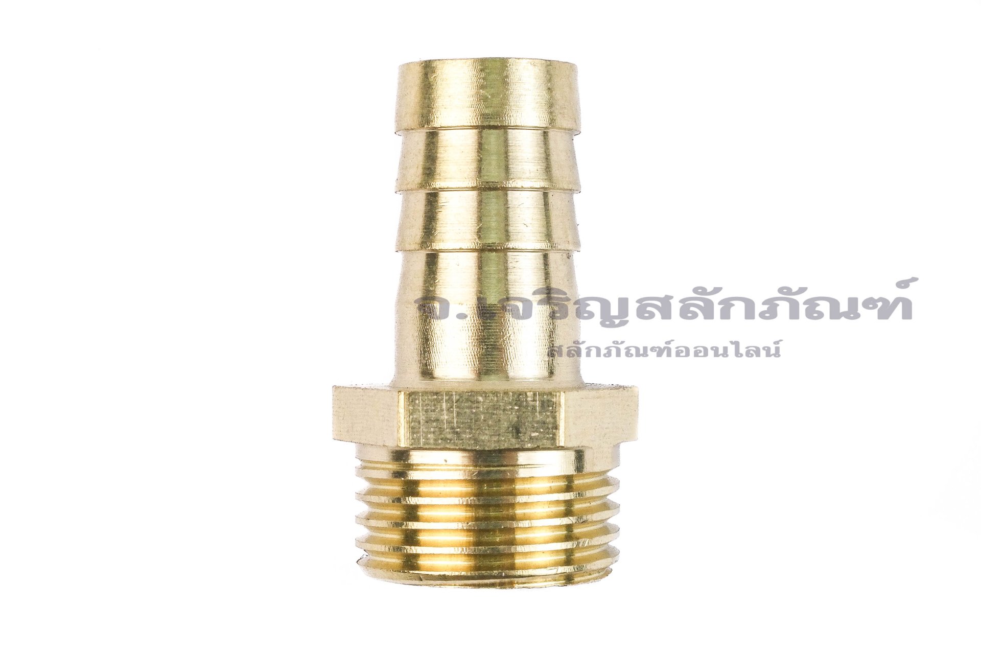 ข้อต่อหางไหลทองเหลือง เกลียวนอกเสียบสาย (เกลียวนอก x หางไหล) ขนาด 1/2" x 14 mm