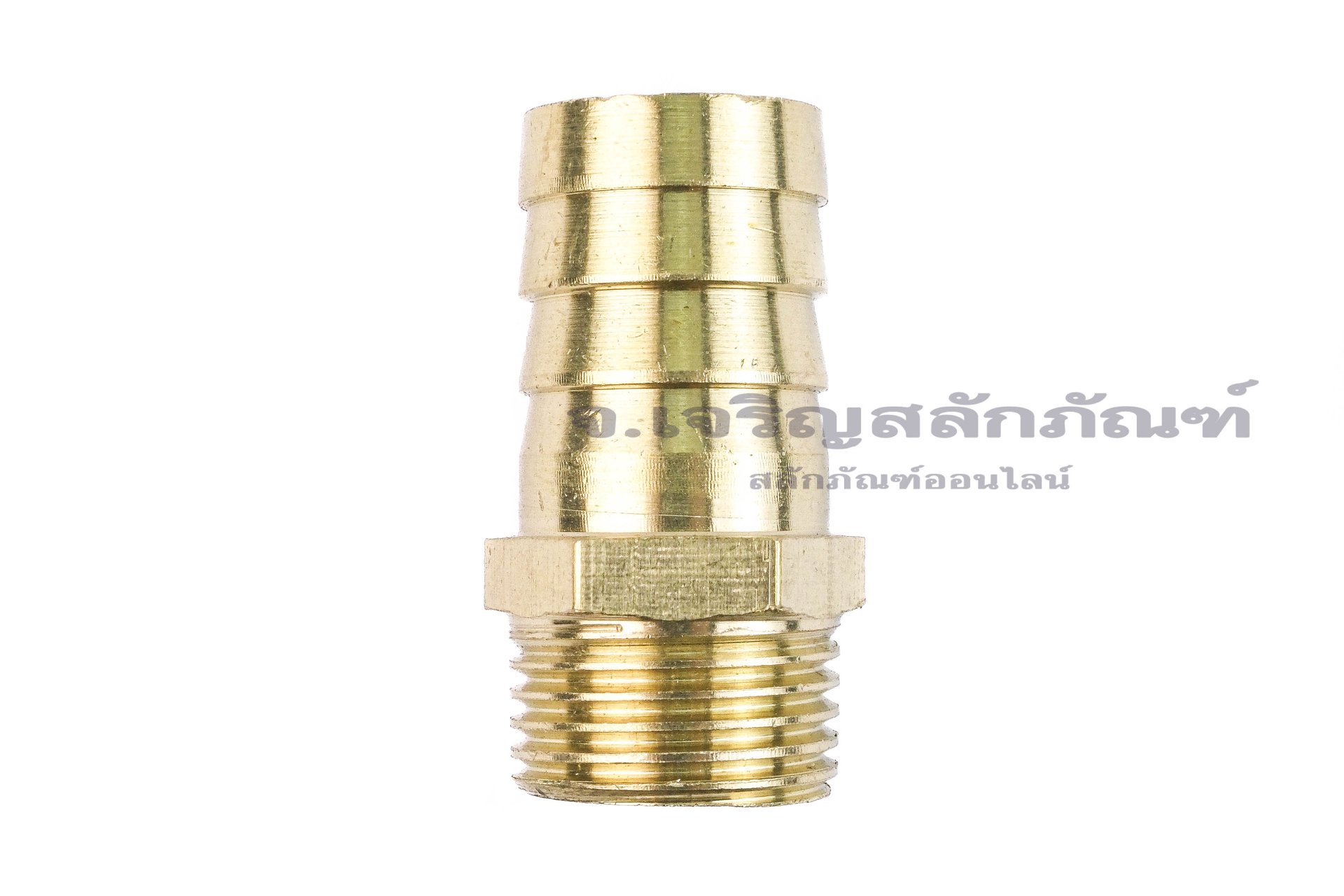 ข้อต่อหางไหลทองเหลือง เกลียวนอกเสียบสาย (เกลียวนอก x หางไหล) ขนาด 1/2" x 19 mm